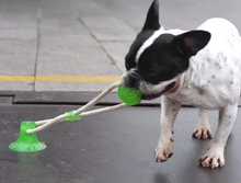 Load image into Gallery viewer, Flexible Dog Molar Bite Toy