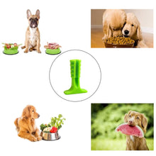 Load image into Gallery viewer, Dog Toothbrush