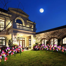 Load image into Gallery viewer, 50% off - 2019 New-Upgraded Artificial Lily Solar Garden Stake Lights (1 Pack of 4 Lilies)