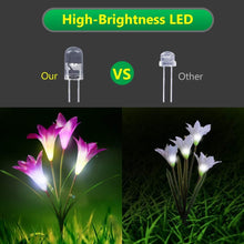 Load image into Gallery viewer, 50% off - 2019 New-Upgraded Artificial Lily Solar Garden Stake Lights (1 Pack of 4 Lilies)