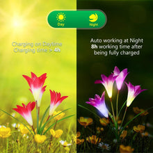 Load image into Gallery viewer, 50% off - 2019 New-Upgraded Artificial Lily Solar Garden Stake Lights (1 Pack of 4 Lilies)