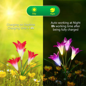 50% off - 2019 New-Upgraded Artificial Lily Solar Garden Stake Lights (1 Pack of 4 Lilies)