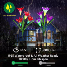 Load image into Gallery viewer, 50% off - 2019 New-Upgraded Artificial Lily Solar Garden Stake Lights (1 Pack of 4 Lilies)